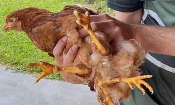 Being born with a rare disease does not make friends.