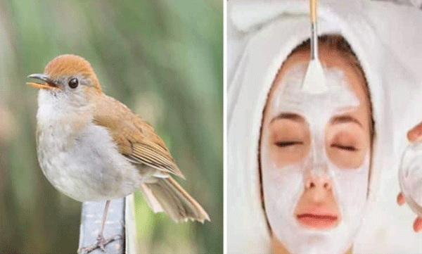facial from bird droppings is in high demand