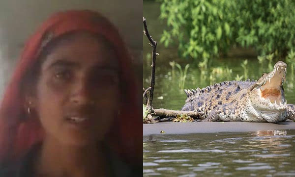 The wife who saved her husband's life from the clutches of the crocodile; All he had was a stick