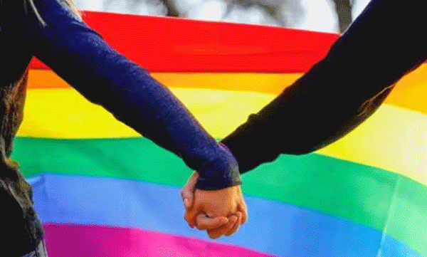 same sex marriage leave to parliament says bar council