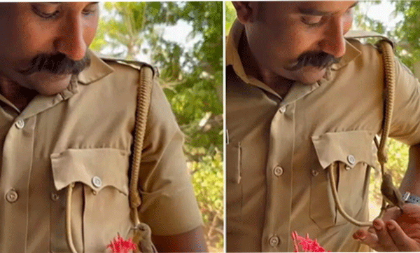 bird came to make friendship with the policeman; The video went viral
