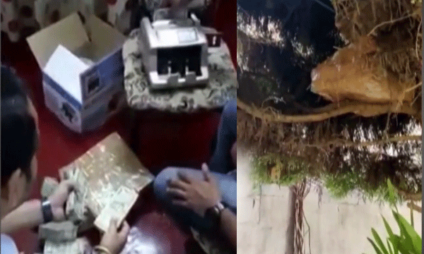 one crore found from congrass leader's house tree