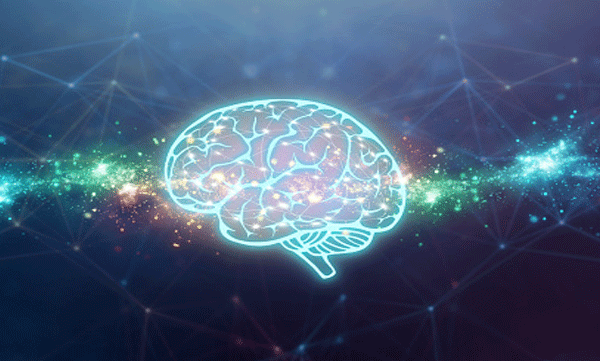 science technology does the brain live after death researchers with new study