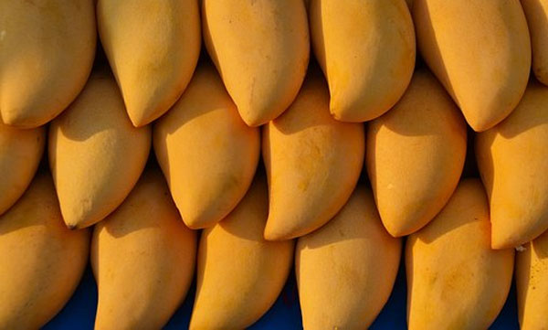 Is the curse of Manga unending for the Kerala Police? A policeman drowned after buying 5 kg of mangoes in the name of police officers