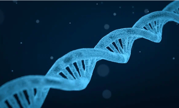 Son's DNA test done for fun: Family shocked when results came