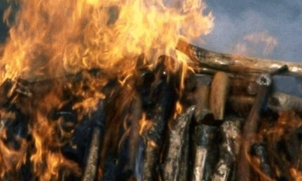 Disturbed by death of childhood buddy, man jumps into friend's pyre