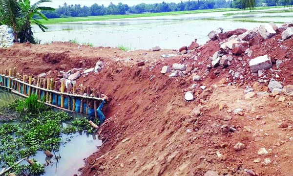 under the fish farming CPM district secretariat member Filling the field