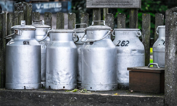 Keep these things in mind while storing curd and milk in the fridge