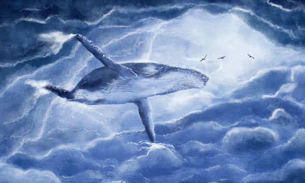 Whales have a limited ability to absorb carbon dioxide; New studies are essential