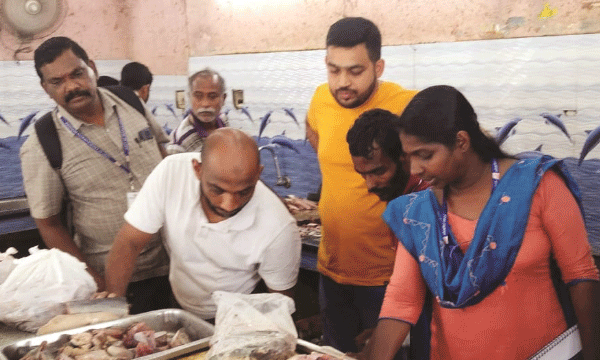 fish sale:  Up to six months old in market stocks