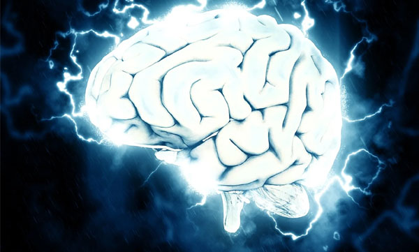 What to do to keep the brain young; The study says