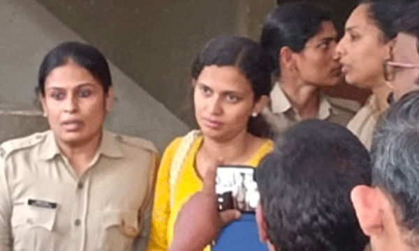 k vidya's hake document case