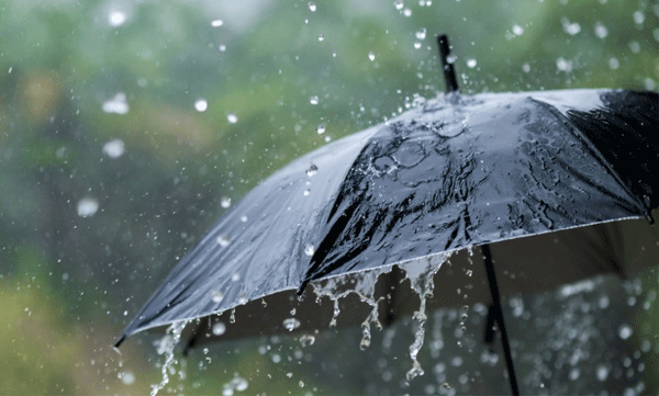 two boys in karnataka made to marry each other to appease rain gods