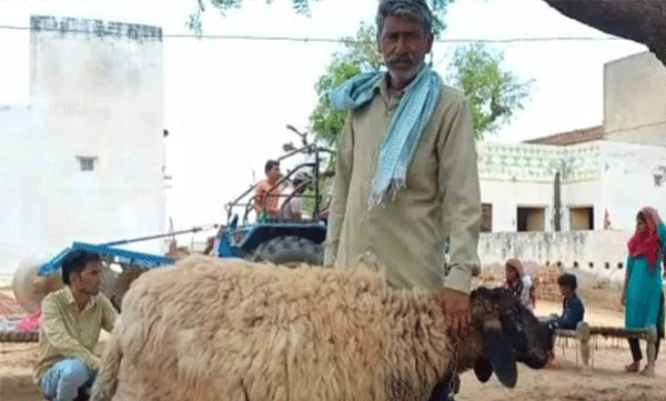 Locals offered around 1 crore: Owner won't sell goat