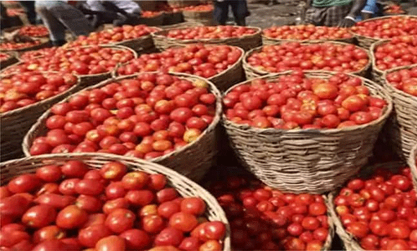 traffic police gifts tomatoes for wearing helmet