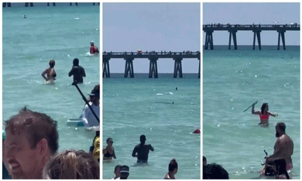 Giant Sharks Rush Into Beach Bathers: Shocking Video Goes Viral