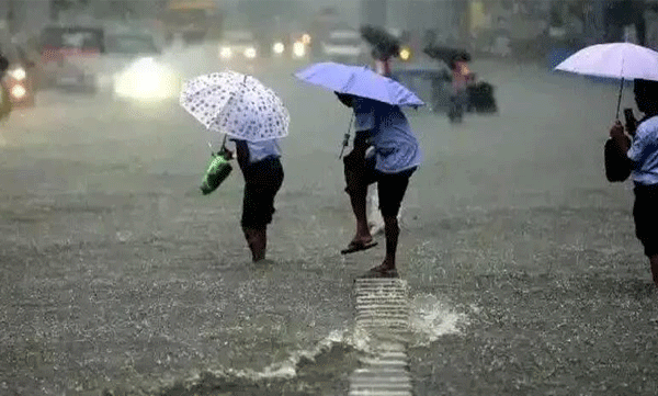 tomorrow school holiday in kottayam kannur kasargod districts due to heavy rain