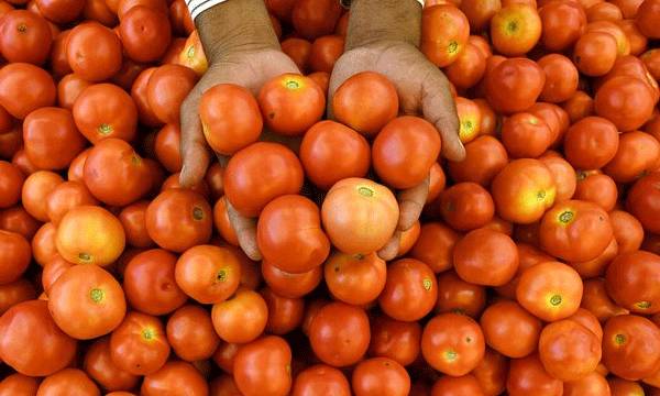 tomato prices up to Rs 200/kg