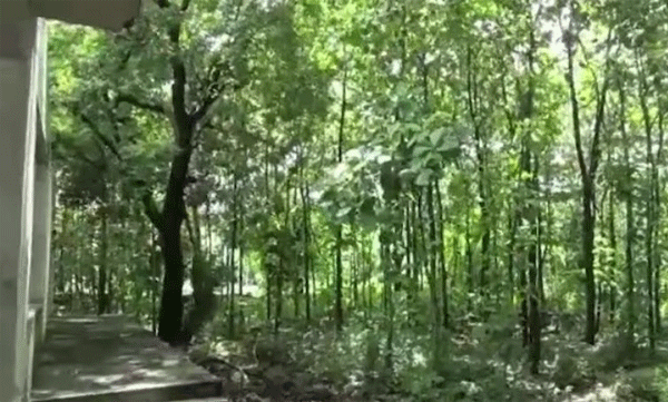 Woman found hanging at under construction temple site