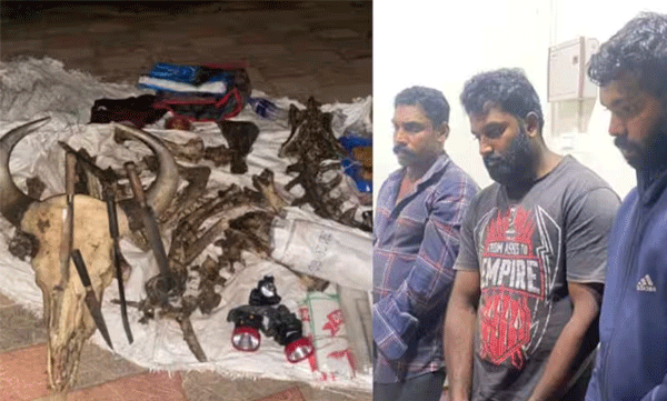 hunters caught  red handed after cinematic chase in munnar