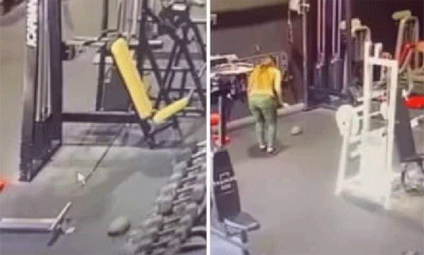 Turtle reaches the gym: Netizens are surprised: Video goes viral