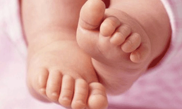 nurse suspended in palakkad