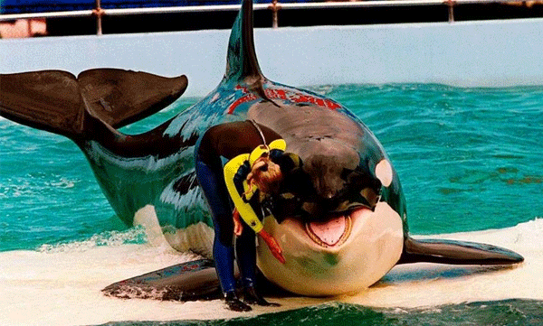 Years of solitude: Lolitha finally bids farewell without seeing the sea