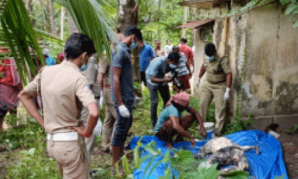 the body recovered from septic tank is Pratish's ; friend's opinion reject family