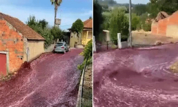 What is this river of wine?...: 2.2 liters of wine spilled on the road: Passengers did not know what happened.