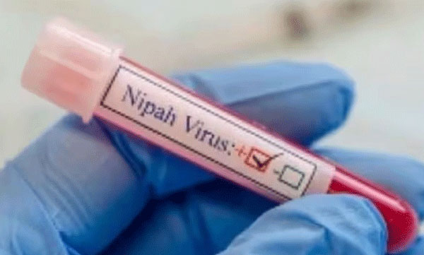 Nipah: Relief News; In Thiruvanathapuram, it has been confirmed that the student has no Nippa