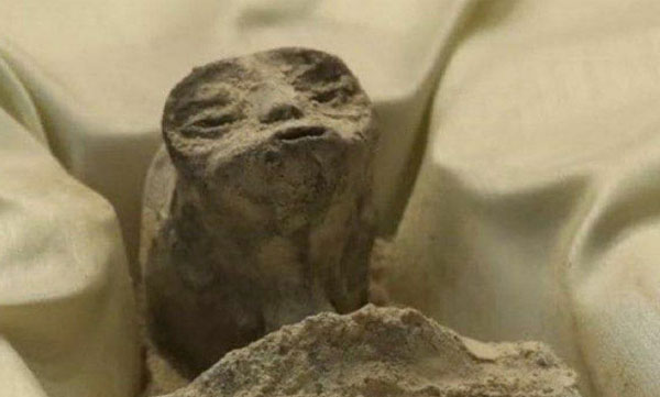 'Alien' fossil exhibit in Mexico