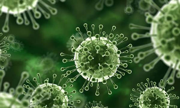 Nipha Virus; holiday for all education institutions in Kozhikode 