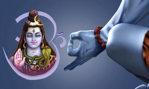 The greatness of the koovala leaf