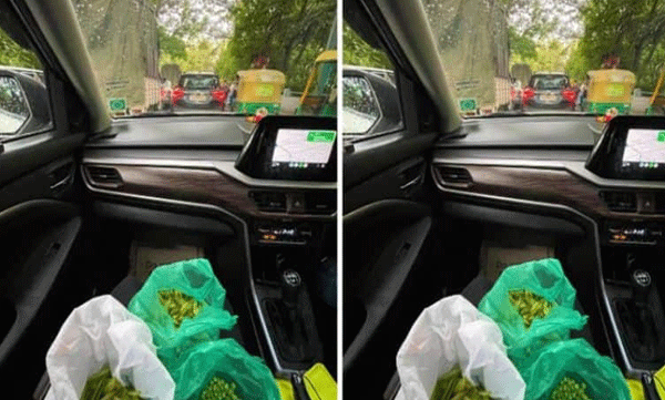 housewife prepares vegetables without wasting time when stuck in a traffic block