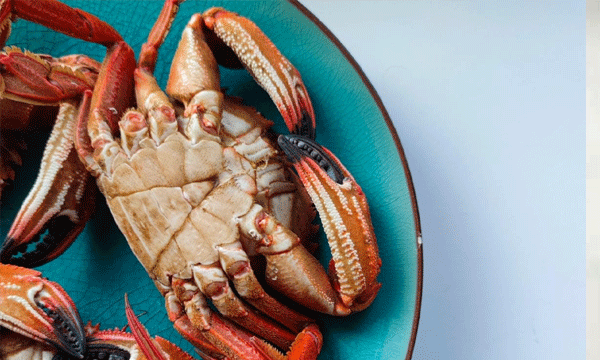 ''Speechless'' Japanese Tourist Calls Police