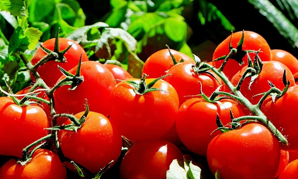 prostate-cancer-new-study-claims-eating-tomatoes-may-reduce-its-risk-for-men