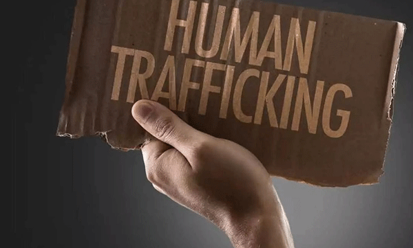 human trafficking to cambodia central intelligence team will inquire