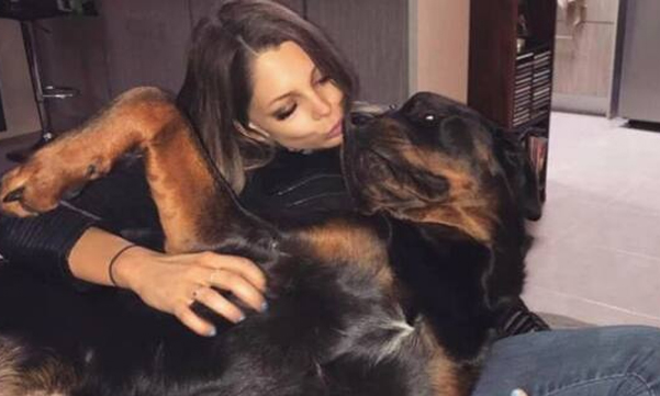 Two pet Rottweilers bite young woman; Neighbors trembled with fear