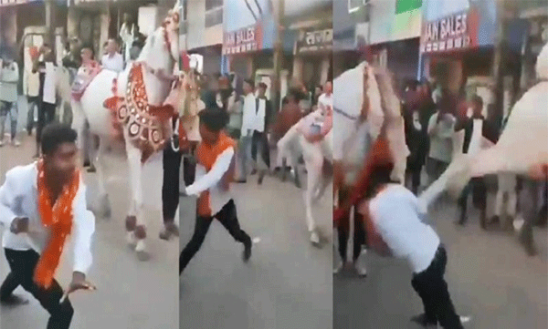 Youth brutally mauled by horse during street protest: Video goes viral