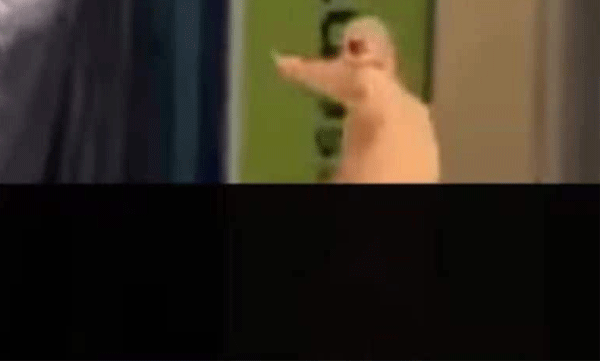 Man walking naked through airport: Stopped by authorities