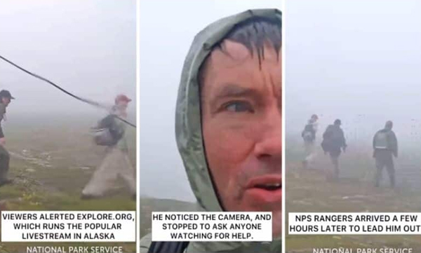 Hiker appears on camera set up to monitor bears asking for help: video goes viral