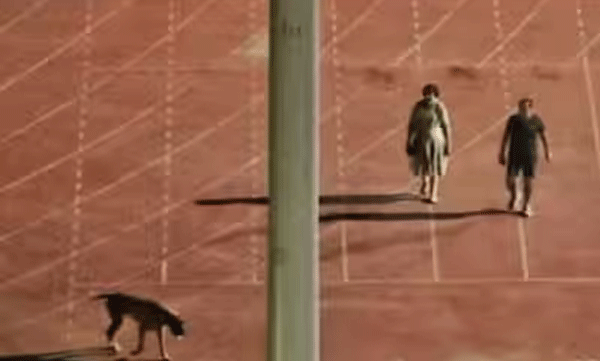 ias officer who vacated the stadium to walk pet dog now compulsorily retired by govt