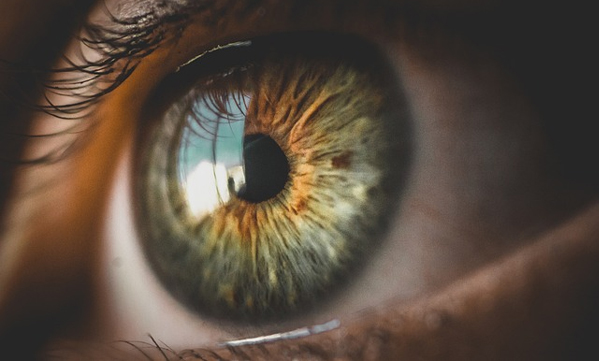 More than 15 cm long worm in young woman's eye: Removed by expert doctor