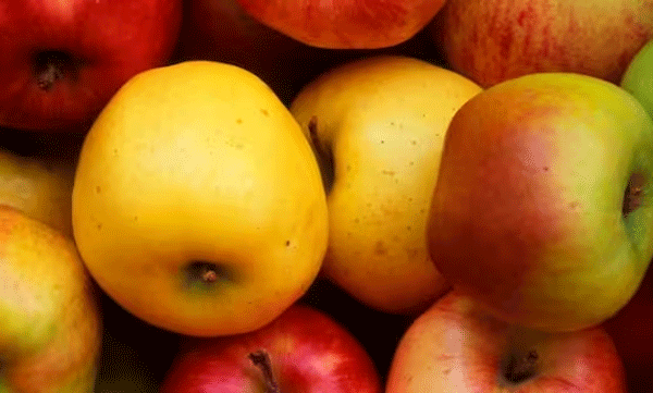 west-bengal-man-who-came-to-delhi-to-buy-apples-was-kidnapped-by-his-friend