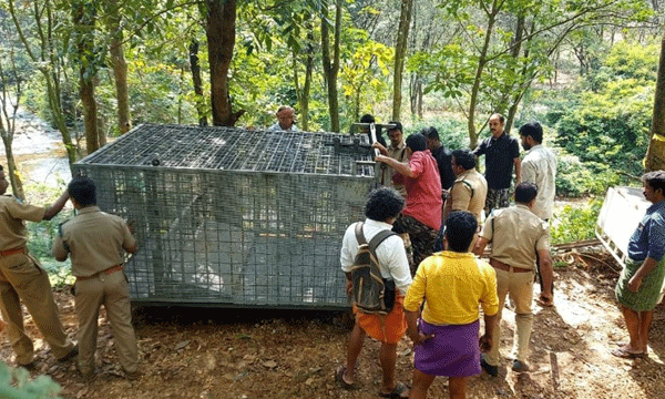 wild animal fear for border area