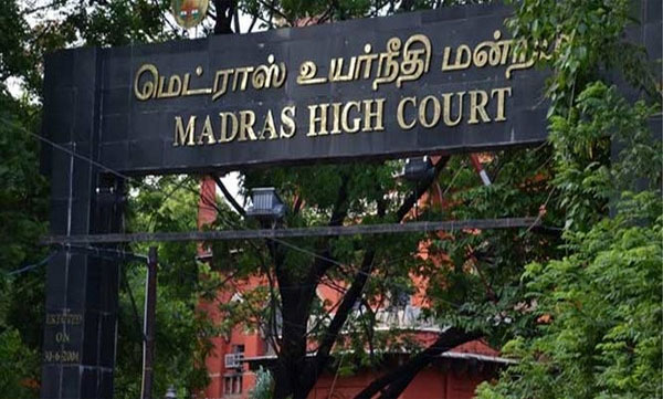 Madras HC junks plea seeking expert panel to track rogue tusker 'Arikomban'