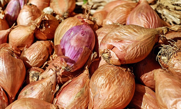 onion-price-hike-kerala