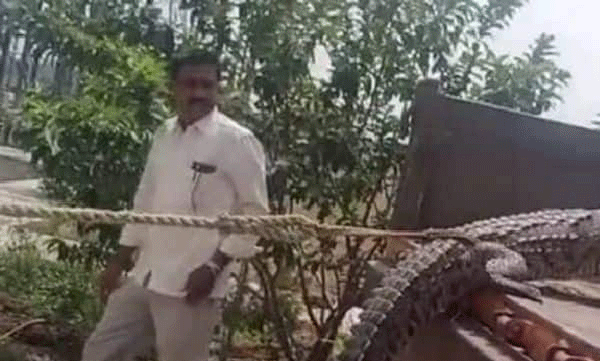 farmers-take-crocodile-to-powerhouse-part-of-protest-against-electricity-crisis