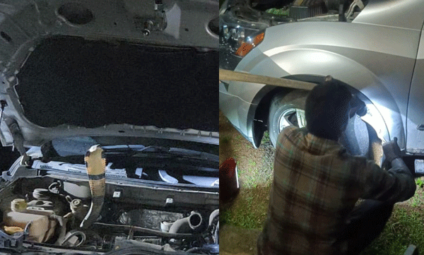 vava-suresh-catches-a-king-cobra-hidden-inside-the-car-of-a-gavi-tourist-from-kollam