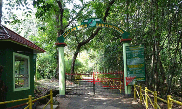 aralam maoist attack case